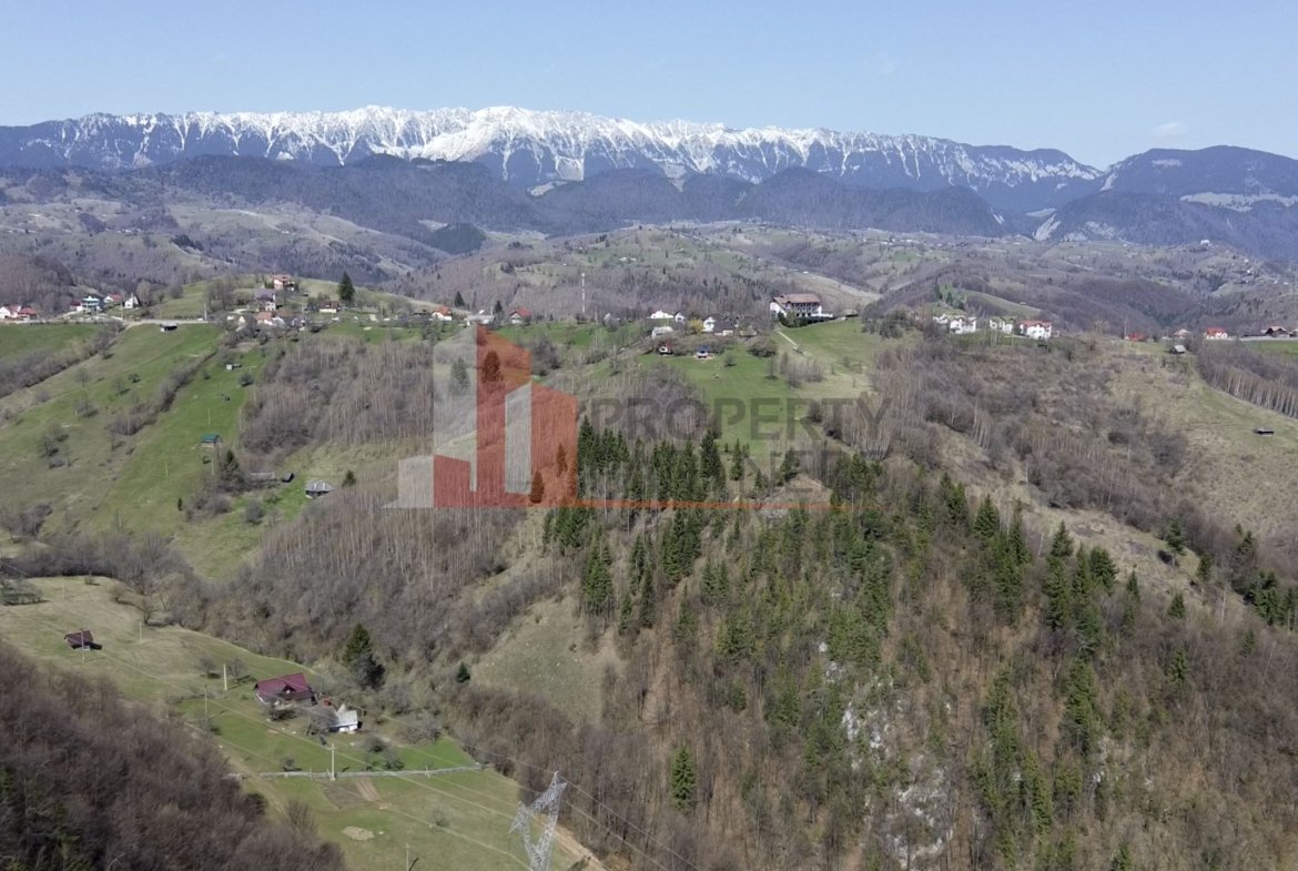 Teren Drumul Carului, Moieciu Suprafață: 29.595 mp |