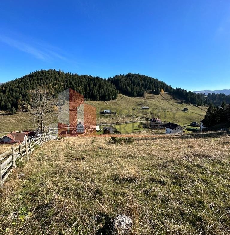 Teren Fundatica intravilan 4500 mp
