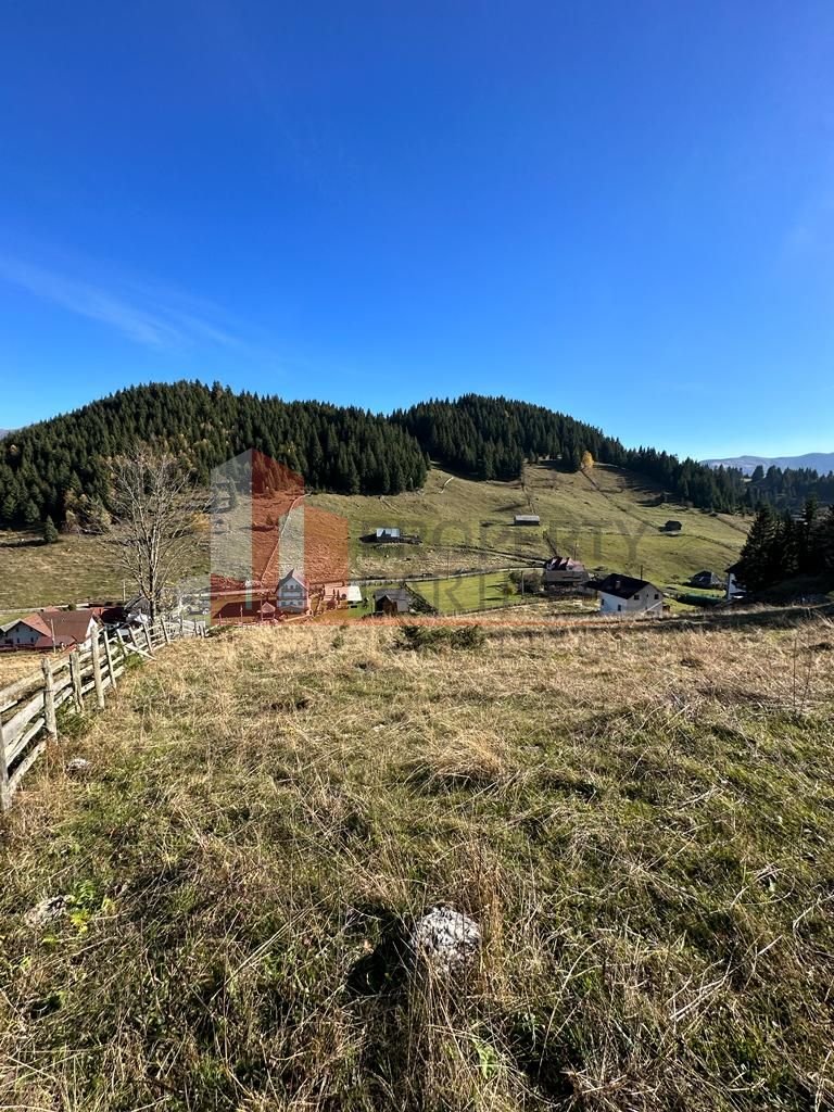 Teren Fundatica intravilan 4500 mp