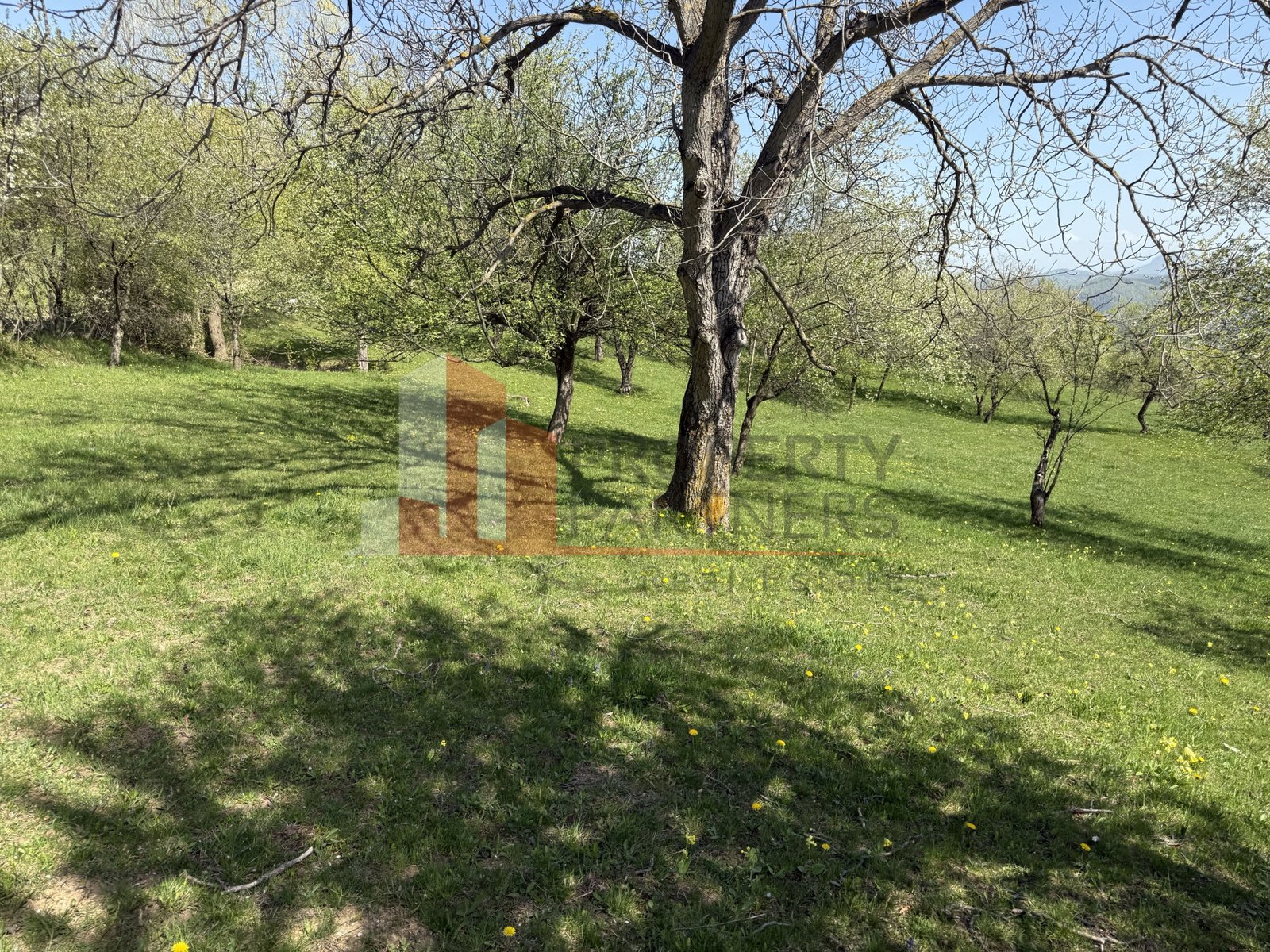 ff0993cd03c64619b5e94987b5becbb5 Terenuri Bran – Predelut Priveliște către Bucegi și Postăvaru